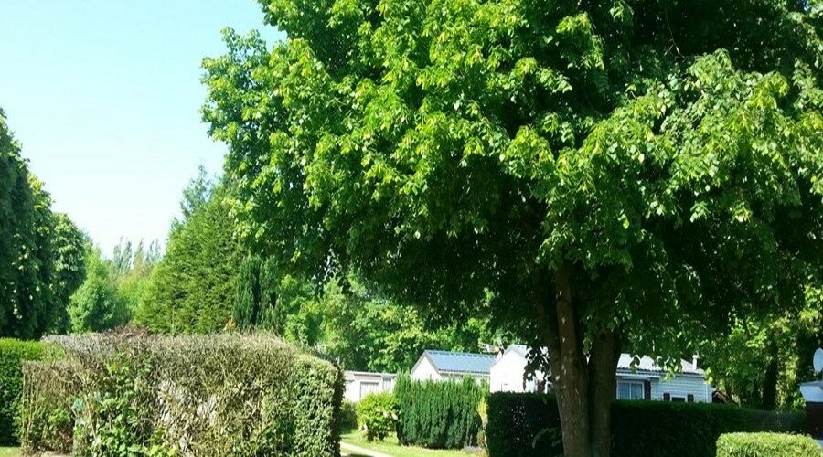 Le Picardy — photo 4